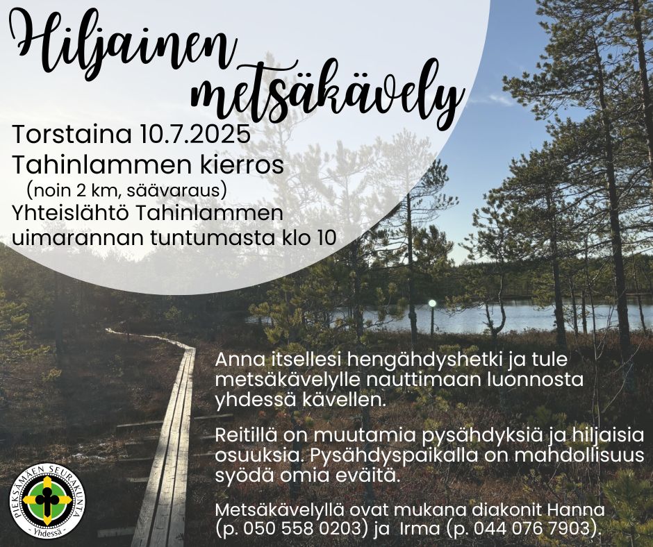 Hiljainen metsäkävely Hiljainen metsäkävely