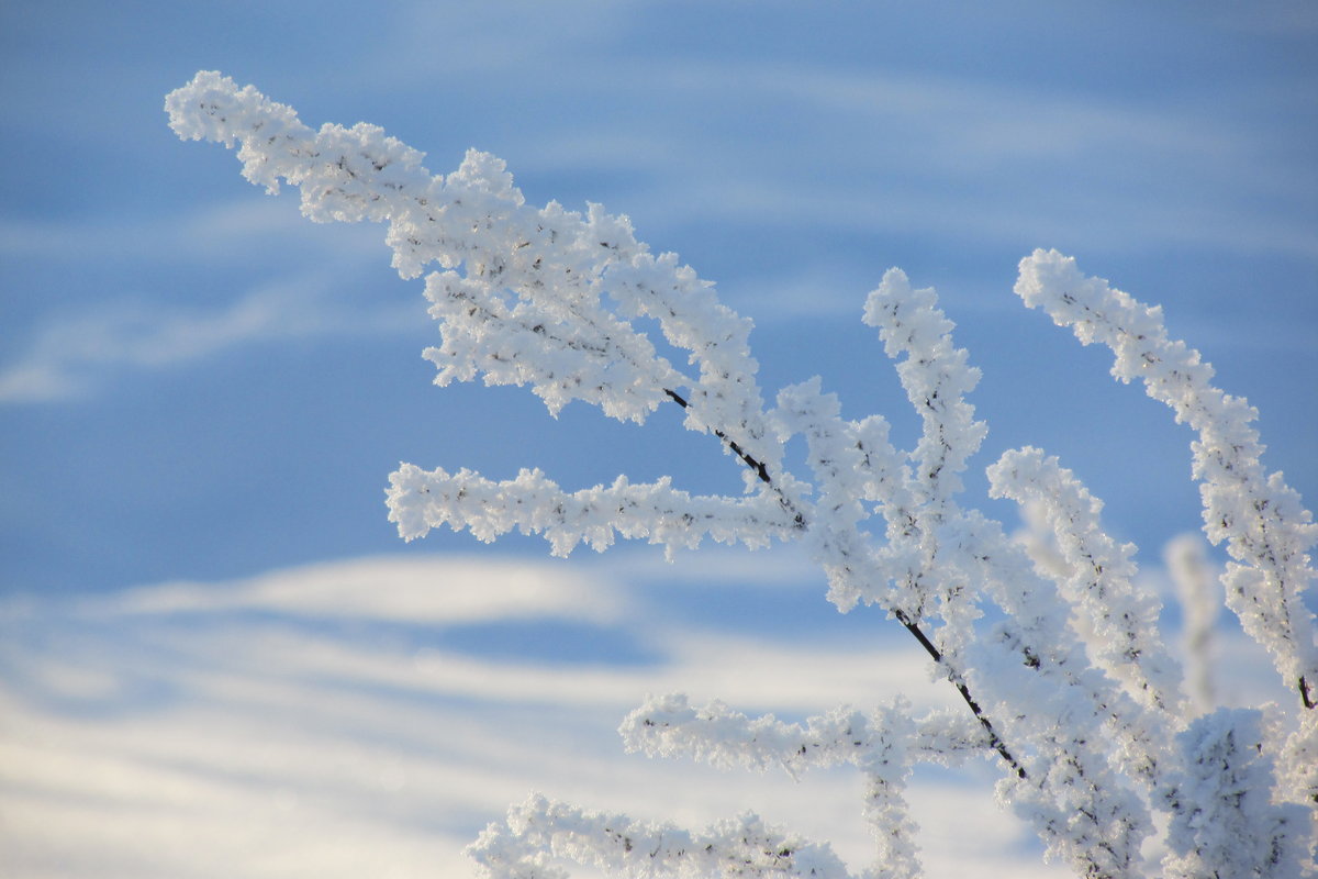 Avoimet työpaikat pieksämäki Avoimet työpaikat pieksämäki